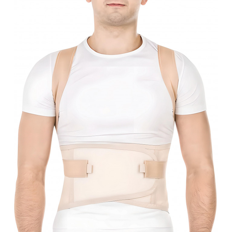 Тривес Корректор осанки д/взрослых Т.50.14 (Т-1774)
