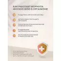 Иммуно Флю Эхинацея порошок №10 саше УБФ Уралбиофарм АО (Россия)