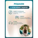 Inseense Трусики-прокладки гигенические для женщин р.L-XL №5 JINJIANG HERUN HYGIENIC PRODUCTS CO (Китай) - 1